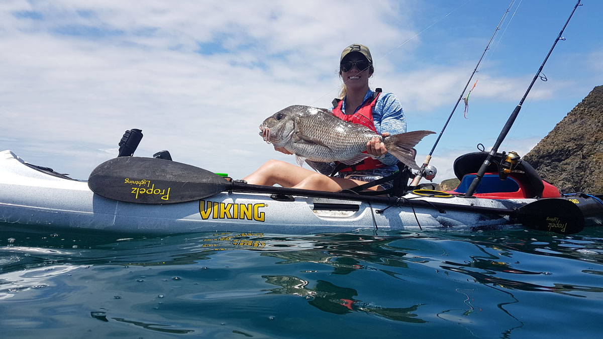 Viking profish reaload offshore fishing kayak she cathcing snapper 2 | freak sports australia