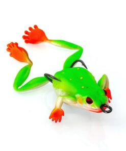 Bobbin Frog Tree Frog