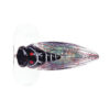 River2sea cicada pop surface lure