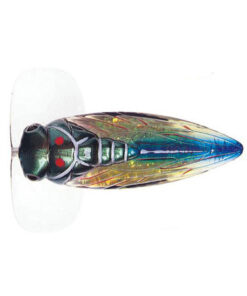 River2Sea Cicada Pop Surface Lure