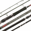 Rapala r-type fishing rod